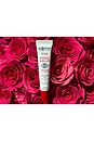 view 3 of 4 Rose Salve Tube Trio in 