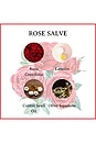 view 3 of 3 Rose Salve Tin Trio in 