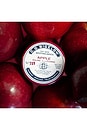 view 3 of 7 Lip Salve Tin Trio in Herbal Mint, Apple & Coco Vanilla