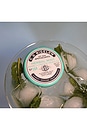 view 5 of 7 Lip Salve Tin Trio in Herbal Mint, Apple & Coco Vanilla