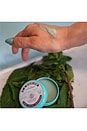 view 6 of 7 Lip Salve Tin Trio in Herbal Mint, Apple & Coco Vanilla
