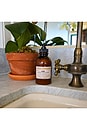 view 4 of 5 Hand Wash in Amber