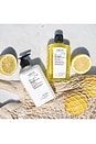view 4 of 5 Lemon Body Cleanser & Body Lotion Apothecary Box Set in 