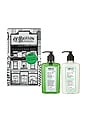 view 1 of 5 Rosemary Mint Hand Wash & Body Lotion Apothecary Box Set in 