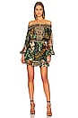 view 1 of 4 Off Shoulder Mini Dress in Easy Tiger