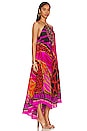 view 2 of 4 Gather Neck Halter Maxi Dress in Always Change Your Spots