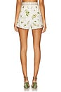 view 4 of 6 Tuck Front Short in Botanical Utopia