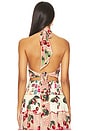 view 3 of 5 Halter Tie Back Top in Notes From The Road