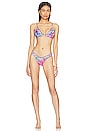 view 4 of 5 Triangle Bikini Top in Flamenco Flamingo in Flight Of The Flamingo