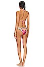 view 3 of 4 CONJUNTO BIKINI in WILD LOVING
