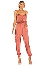 view 1 of 3 Twill Amia Jumpsuit in Dark Salmon