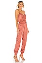 view 2 of 3 Twill Amia Jumpsuit in Dark Salmon