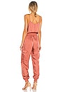 view 3 of 3 Twill Amia Jumpsuit in Dark Salmon