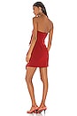 view 3 of 3 Nat Dress in Scarlet