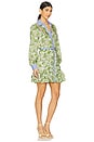 view 2 of 3 Tirza Dress in Ivory Multi & Blue Hydrangea