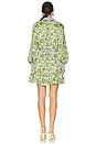 view 3 of 3 Tirza Dress in Ivory Multi & Blue Hydrangea