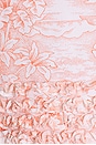view 4 of 4 Scenic Toile Ashton Dress in White & Cherry Tomato