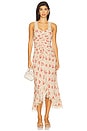 view 1 of 3 Stevie Dress in Cherry Rose Multi