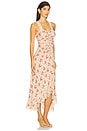 view 2 of 3 Stevie Dress in Cherry Rose Multi
