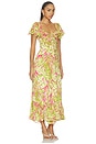 view 2 of 3 Daisy Swirl Ivey Dress in Pink Amethyst Multi
