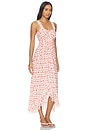 view 2 of 4 ROBE STEVIE in Mini Ikat Roses