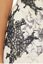 view 5 of 4 ROBE ANTONELLA in Gardenia & Black 