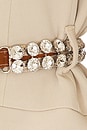 view 5 of 5 Vittoria Jacket in Khaki & White