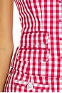 view 5 of 5 Mini Gingham Denim Lovina Top in Chili Pepper & White