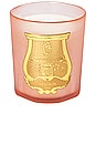 view 1 of 2 X Les Archives Nationales Tuileries Candle in Floral & Fruity Chypre