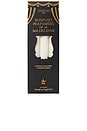 view 1 of 1 Madeleines Candle Set Of 6 in Fir