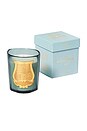 view 2 of 2 BOUGIE PARFUMÉE in White Fig, Patchouli, & Moss