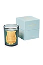 view 2 of 2 BOUGIE PARFUMÉE in White Fig, Patchouli, & Moss