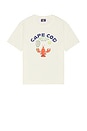 view 1 of 3 Cape Cod Tee in Off White