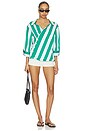 view 5 of 5 The Overshirt in Clover Stripe