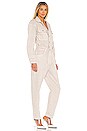 view 2 of 3 Liu Jumpsuit in Desert Haze