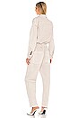 view 3 of 3 Liu Jumpsuit in Desert Haze