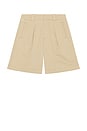 view 6 of 7 Cara Pleated Short in Catalina