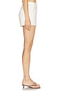 view 3 of 6 Marcella Utility Shorts in Pashmina