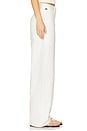 view 3 of 6 Ayla Cargo Jeans in Pashmina