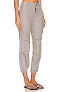 view 2 of 4 Agni Utility Pant in Taupe
