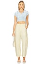 view 5 of 6 Marcelle Cargo Pant in Napoli