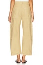 view 4 of 6 Marcelle Cargo Pant in Gobi