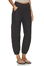 view 2 of 6 Ciela Balloon Utility Pant in Espresso