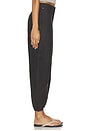 view 4 of 6 Ciela Balloon Utility Pant in Espresso