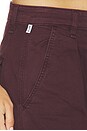 view 6 of 6 Ciela Balloon Utility Pant in Mahogany