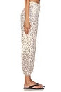 view 3 of 6 PANTALONES CIELA in Cheetah