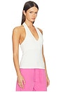 view 2 of 4 Thea Halter Top in Pashmina
