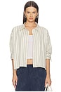 view 1 of 5 Petit Ami Shirt in Ramble Stripe