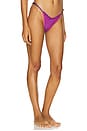 view 2 of 4 Stephanie Bikini Bottom in Purple