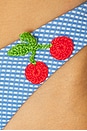 view 6 of 6 Atira Vichy Fruits Bikini Bottom in Blue